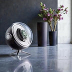 Watch winder on a reflective surface with a vase of flowers in the background