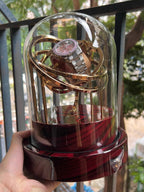 Glass dome watch winder used for watch collectors