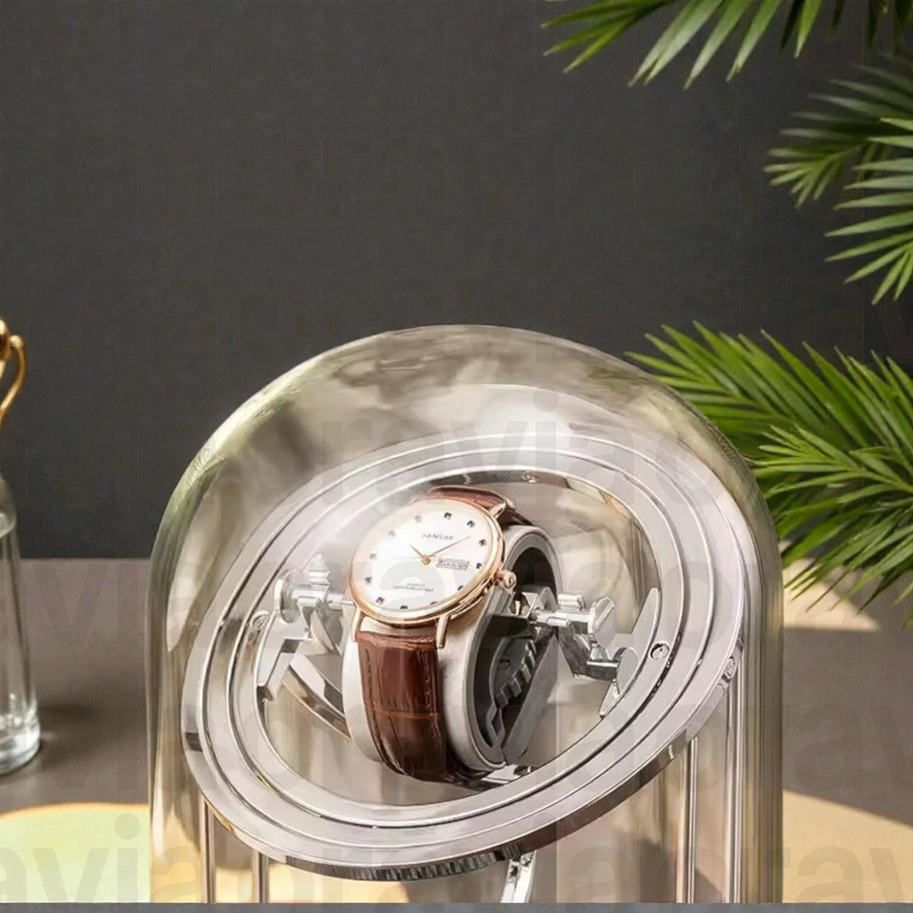 Automatic watch display case with silent rotation motor